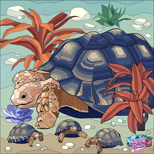 Χελώνα – Schildpad